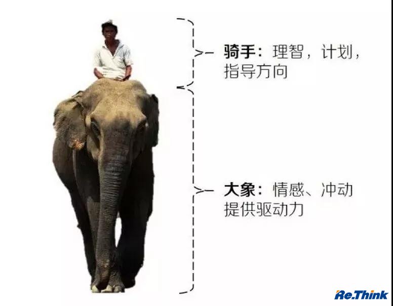 云顶pg官网入口登录