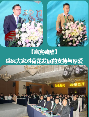 云顶pg官网入口登录