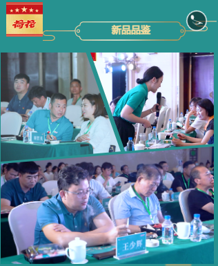 云顶pg官网入口登录
