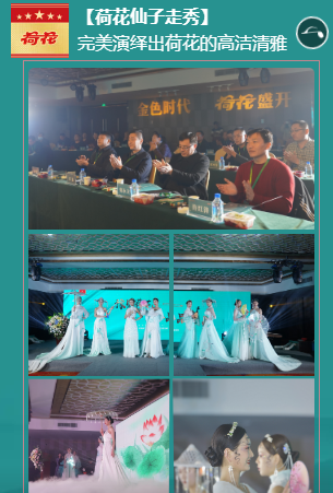 云顶pg官网入口登录